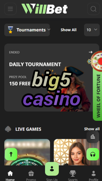 Big5 Casino - African Safari-Themed Casino-www.bdqngd.com