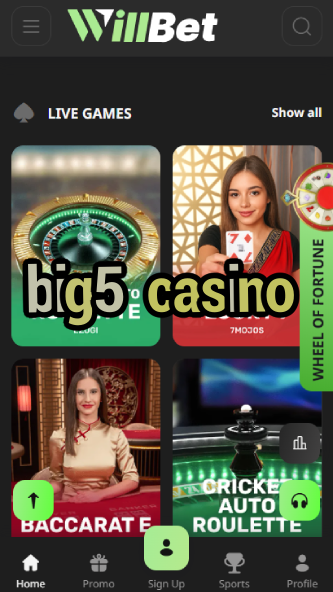 Big5 Casino - African Safari-Themed Casino-www.bdqngd.com