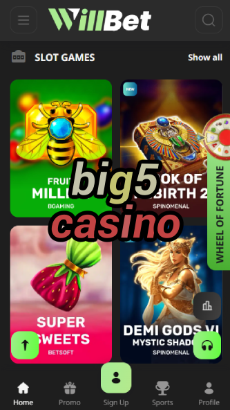 Big5 Casino - African Safari-Themed Casino-www.bdqngd.com